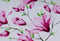 2 Pcs Printed Bed Sheet MHS-1019