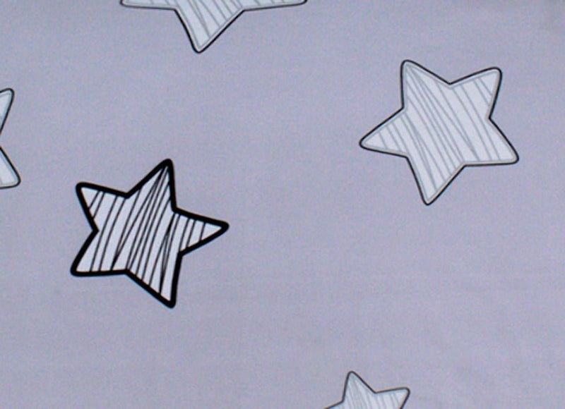 2 Pcs Printed Bed Sheet MHS-1031