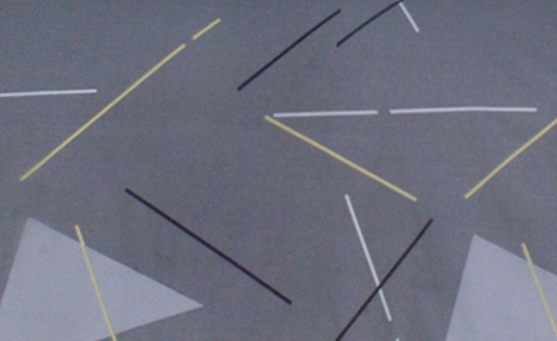 2 Pcs Printed Bed Sheet MHS-948