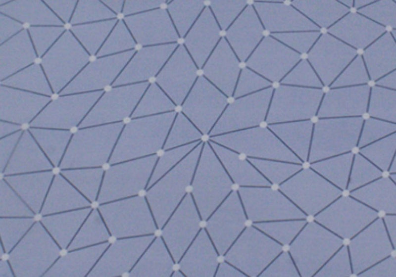 2 Pcs Printed Bed Sheet MHS-969