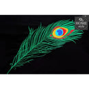 8 PCS Peacock Feather Embroidered Duvet Set