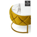 Luxury Creative Style Center Table & TV Combination Living Room Set -1001