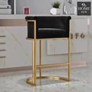 Luxury Living Room Chair- 1168