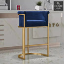 Luxury Living Room Chair- 1168