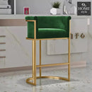 Luxury Living Room Chair- 1168