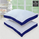 Two Filled Pillows-07